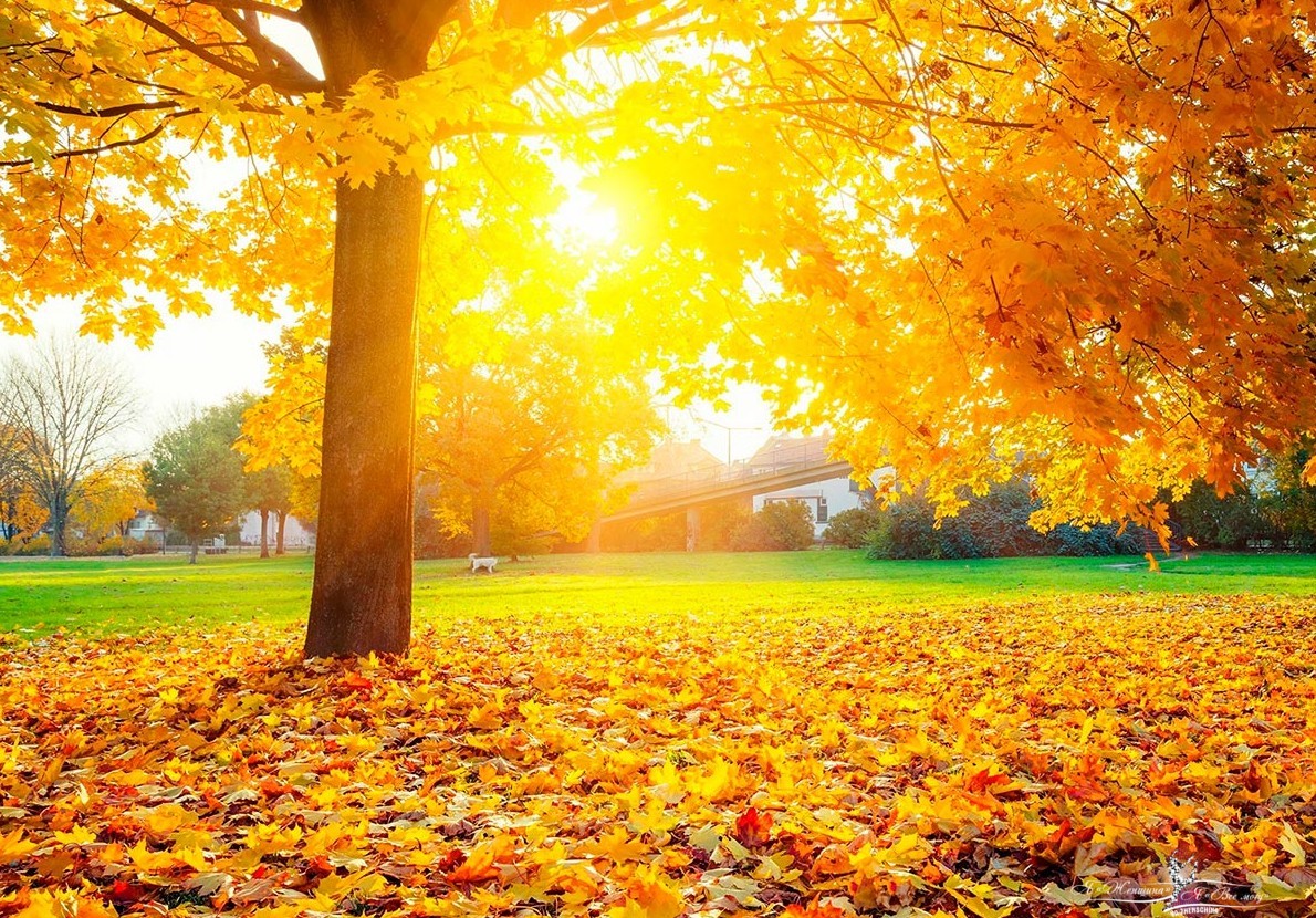 Модная цветовая палитра в одежде: оттенки осени - «Мода»