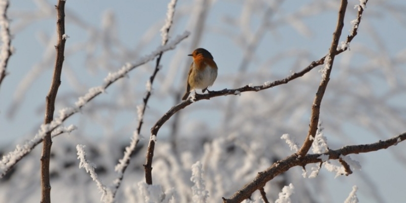 Время тишины - «Стиль жизни»