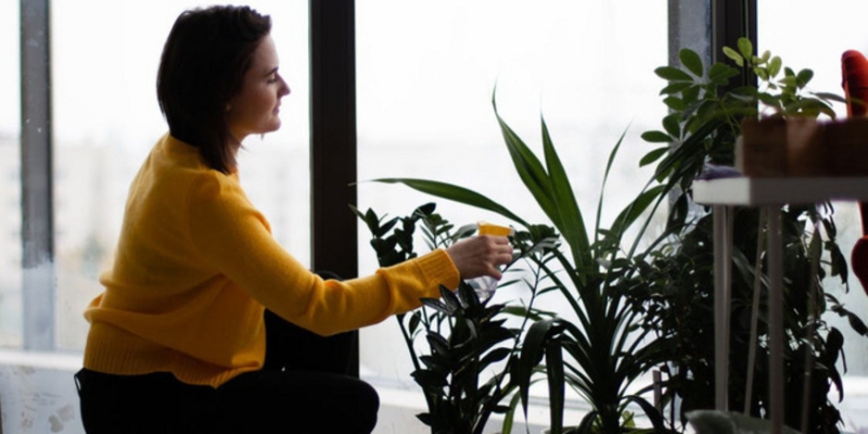 Советы цветоводам - «Стиль жизни»