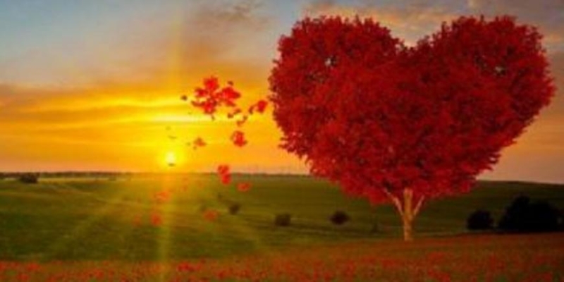 Люди, которые отдают свое счастье другим - «Стиль жизни»